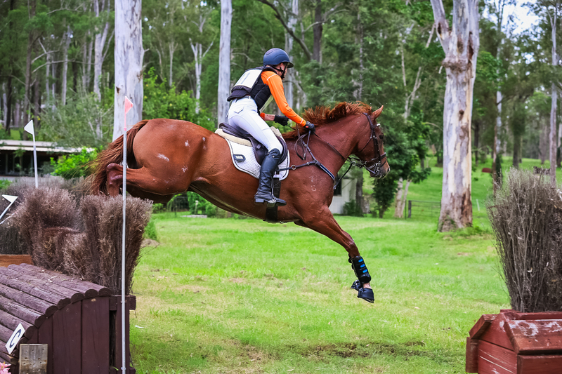 TEG March ODE 2026 95 XC-4756.jpg