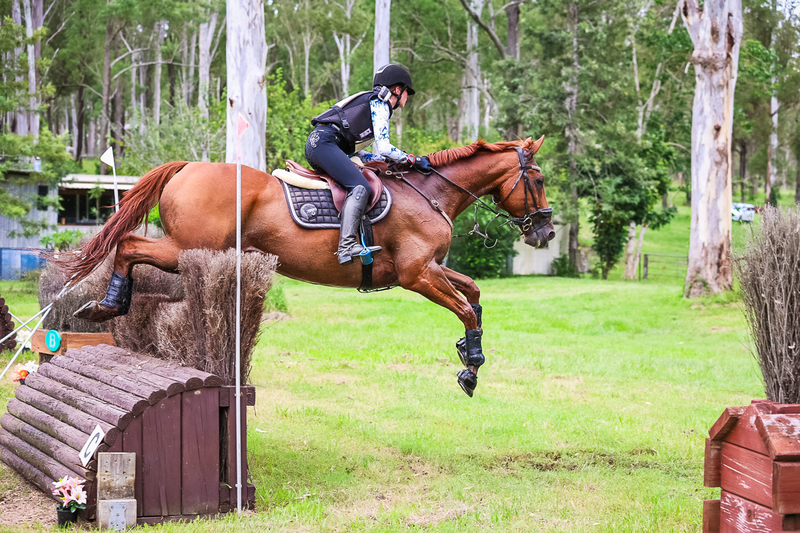 TEG March ODE 2026 95 XC-4764.jpg