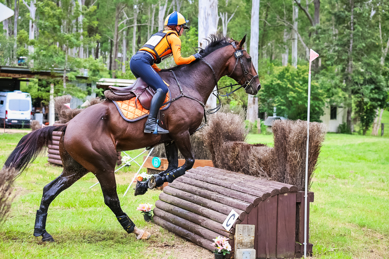 TEG March ODE 2026 95 XC-4777.jpg