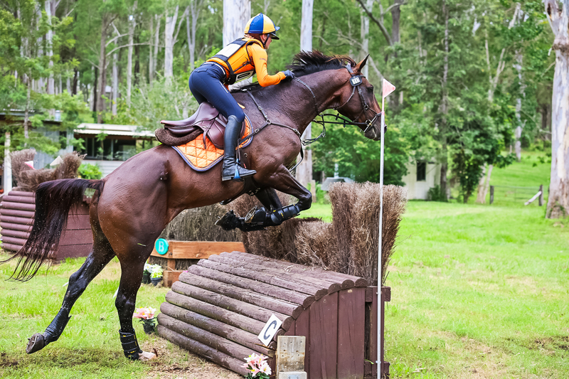 TEG March ODE 2026 95 XC-4778.jpg