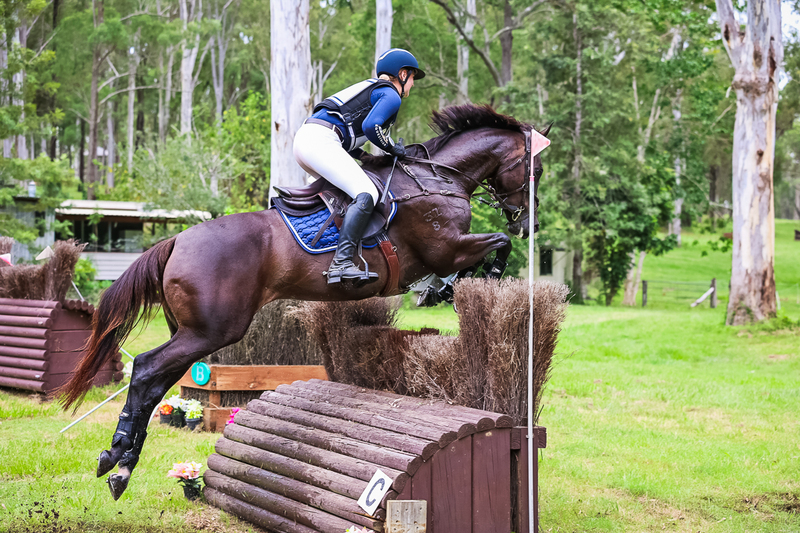 TEG March ODE 2026 95 XC-4789.jpg