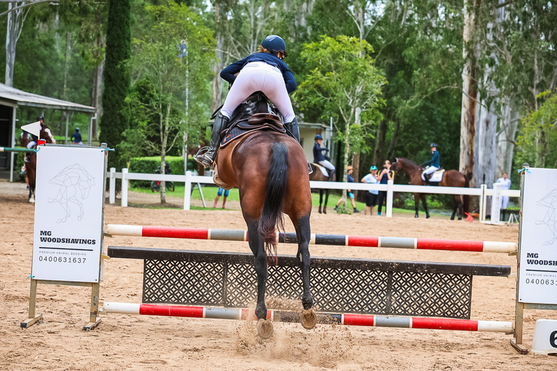 TEG March ODE 2026 95a SJ-2631.jpg