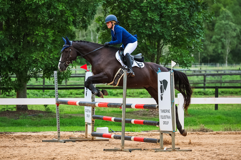 TEG March ODE 2026 95a SJ-2778.jpg