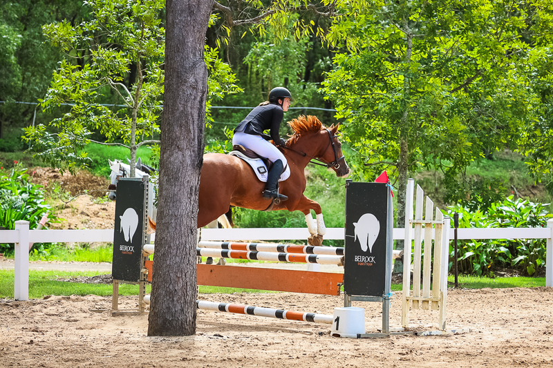 TEG March ODE 2026 95a SJ-2907.jpg