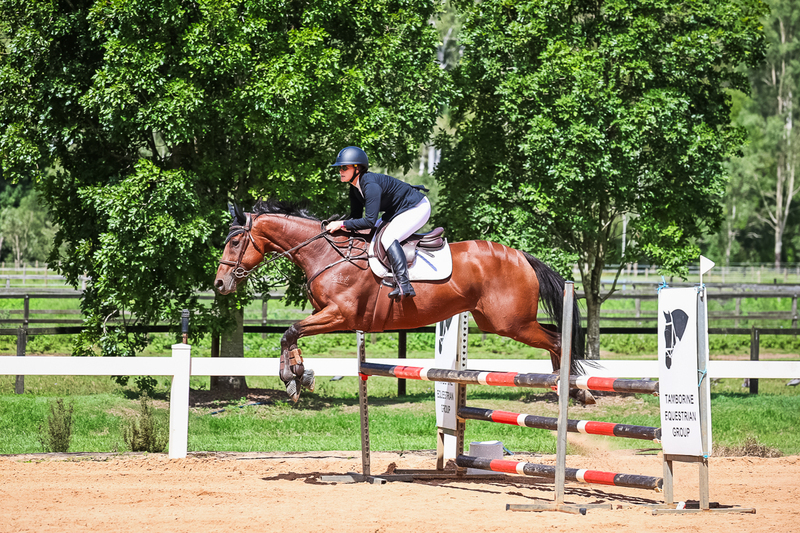 TEG March ODE 2026 95a SJ-2995.jpg