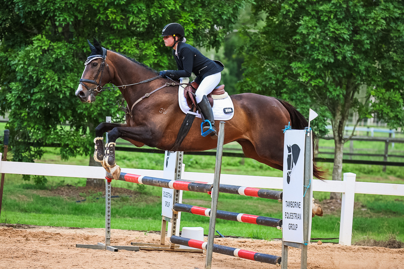 TEG March ODE 2026 95b SJ-3530.jpg