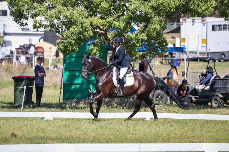 tEG 3DE 2025 Friday Dressage -1386.jpg