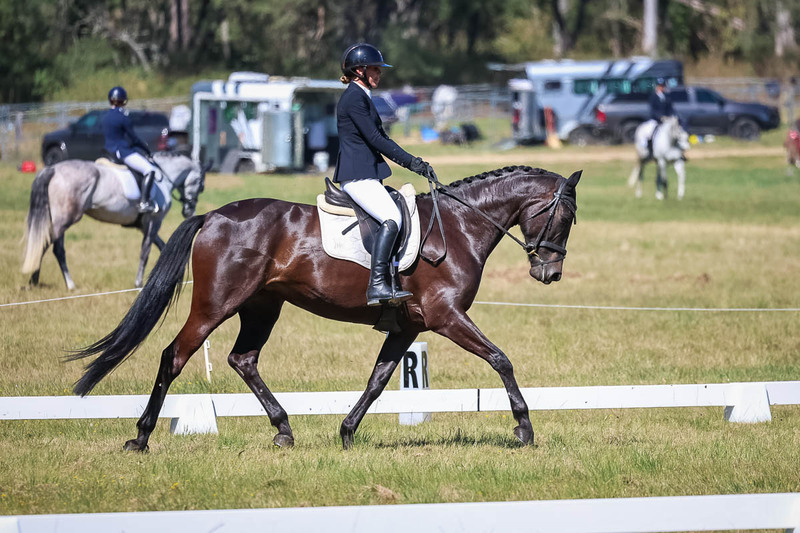 tEG 3DE 2025 Friday Dressage -1390.jpg