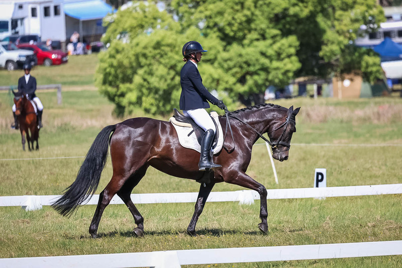 tEG 3DE 2025 Friday Dressage -1393.jpg