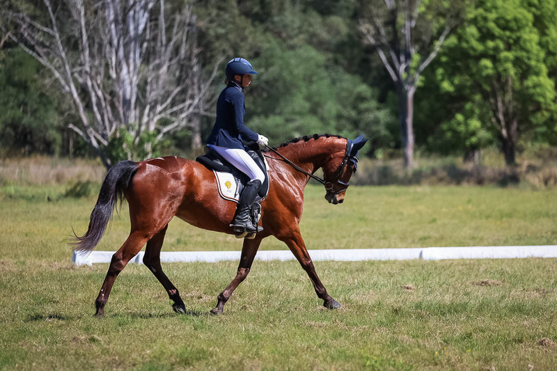 tEG 3DE 2025 Friday Dressage -1398.jpg