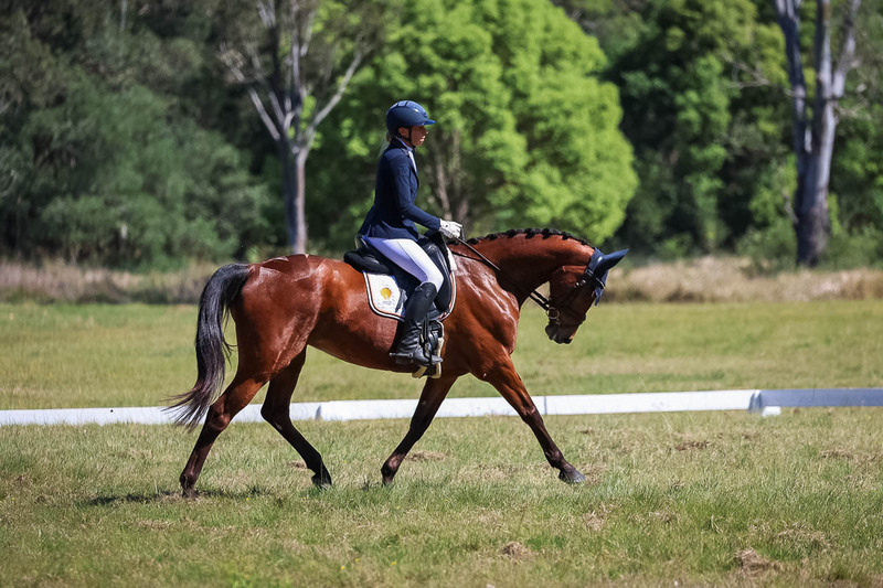 tEG 3DE 2025 Friday Dressage -1399.jpg