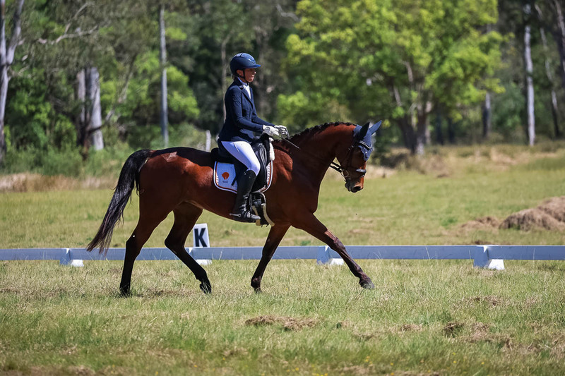 tEG 3DE 2025 Friday Dressage -1400.jpg