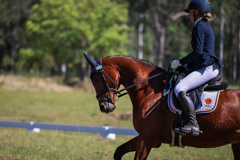 tEG 3DE 2025 Friday Dressage -1403.jpg