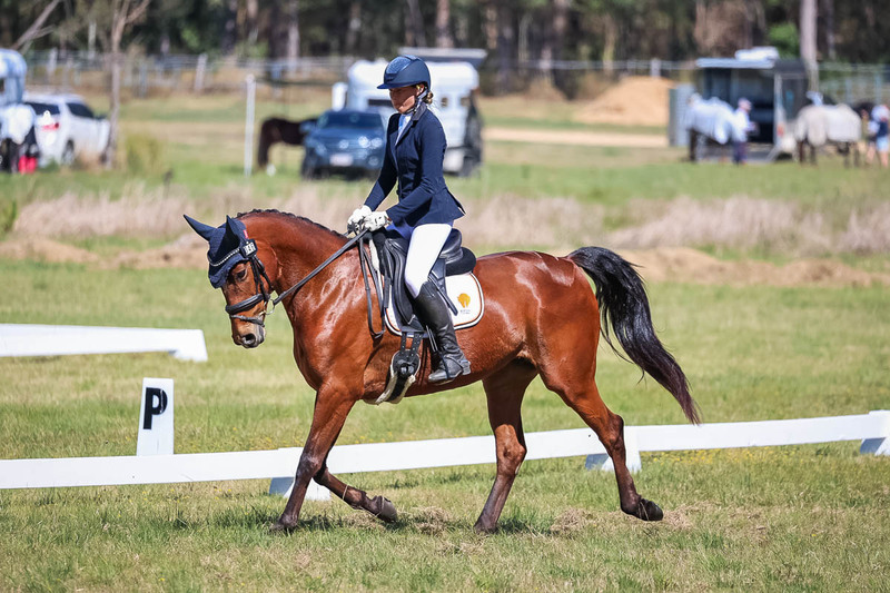 tEG 3DE 2025 Friday Dressage -1406.jpg