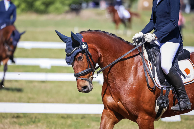 tEG 3DE 2025 Friday Dressage -1407.jpg