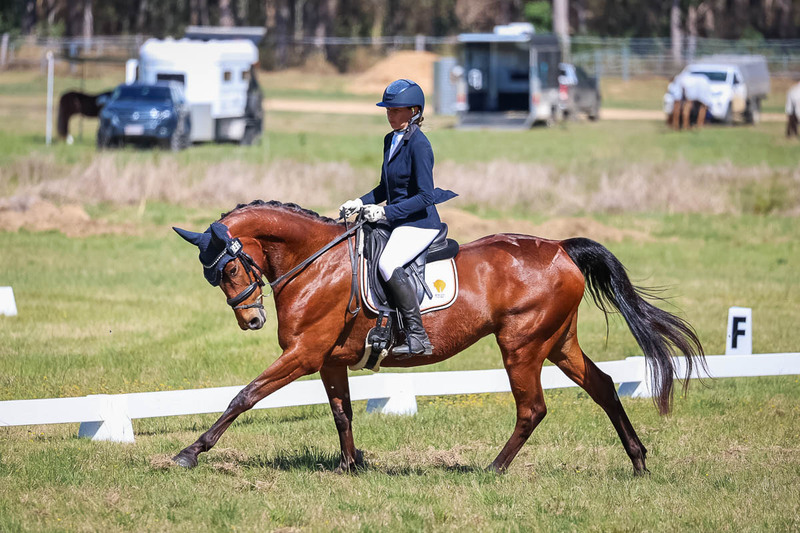 tEG 3DE 2025 Friday Dressage -1408.jpg