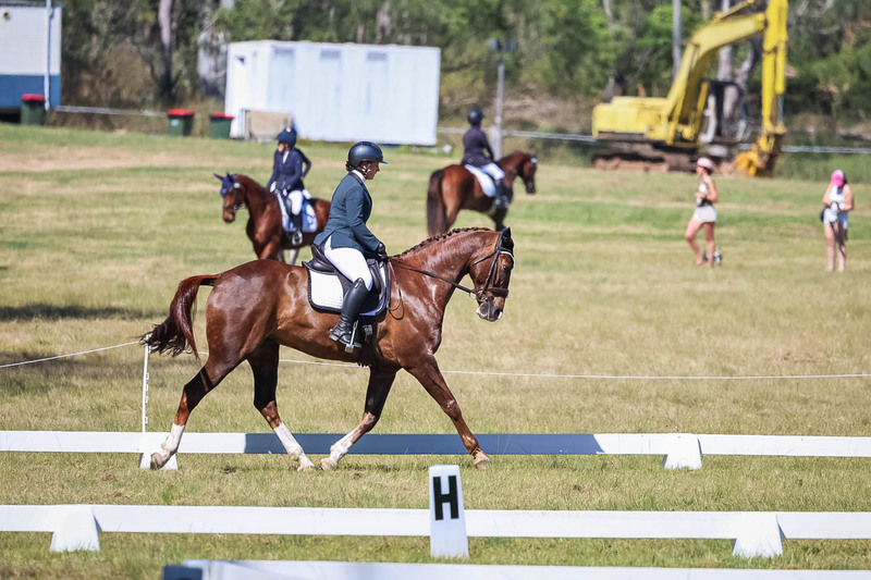 tEG 3DE 2025 Friday Dressage -1409.jpg