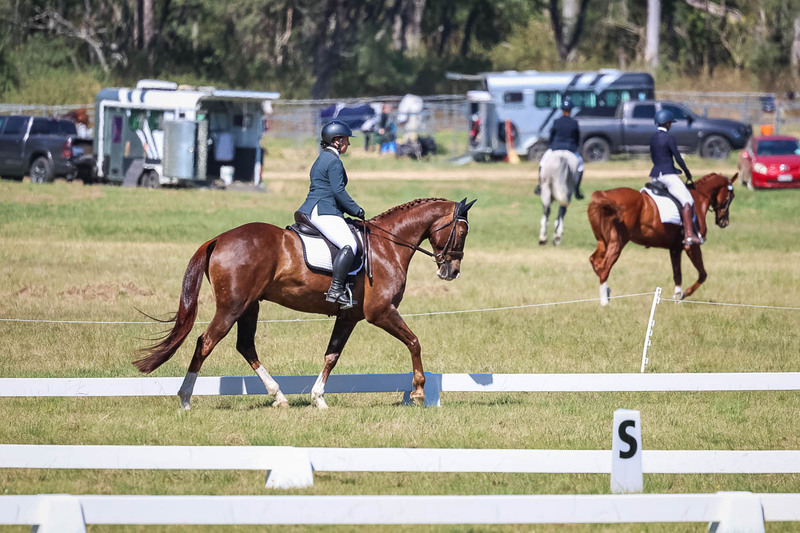 tEG 3DE 2025 Friday Dressage -1410.jpg