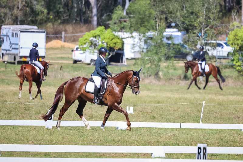 tEG 3DE 2025 Friday Dressage -1411.jpg