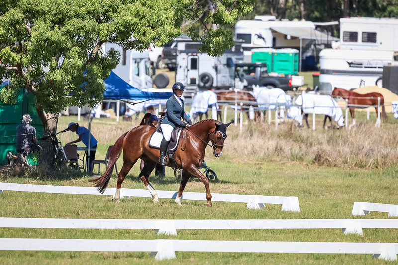 tEG 3DE 2025 Friday Dressage -1413.jpg