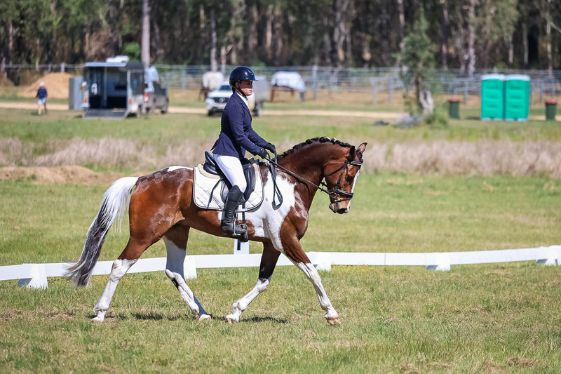 tEG 3DE 2025 Friday Dressage -1418.jpg