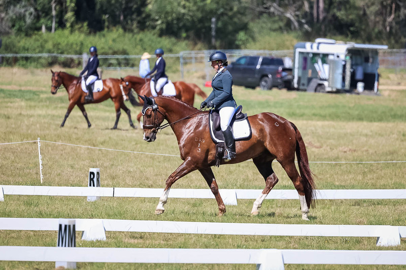 tEG 3DE 2025 Friday Dressage -1420.jpg