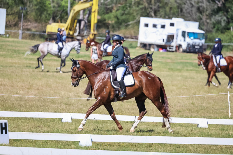 tEG 3DE 2025 Friday Dressage -1421.jpg
