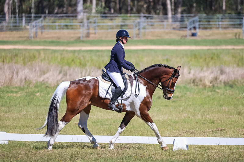 tEG 3DE 2025 Friday Dressage -1422.jpg