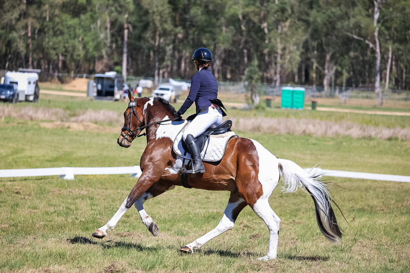 tEG 3DE 2025 Friday Dressage -1424.jpg