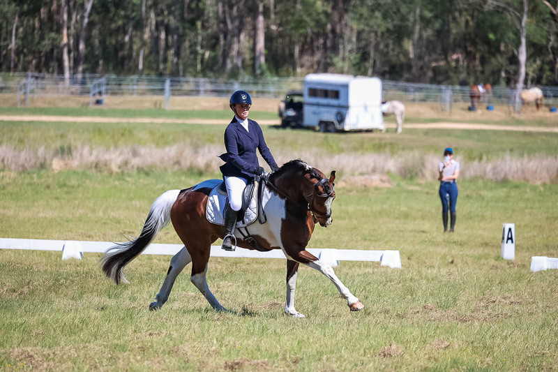 tEG 3DE 2025 Friday Dressage -1425.jpg