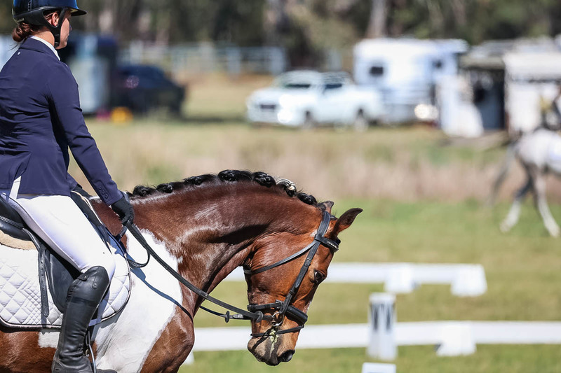 tEG 3DE 2025 Friday Dressage -1426.jpg