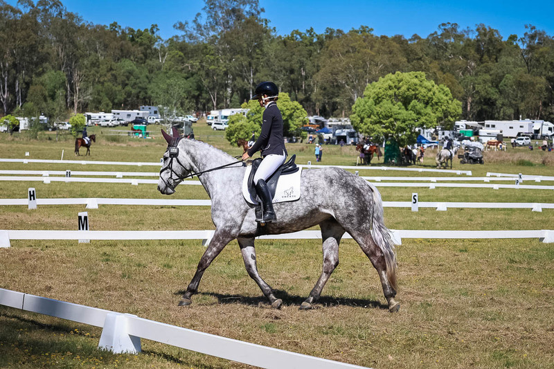 tEG 3DE 2025 Friday Dressage -1441.jpg