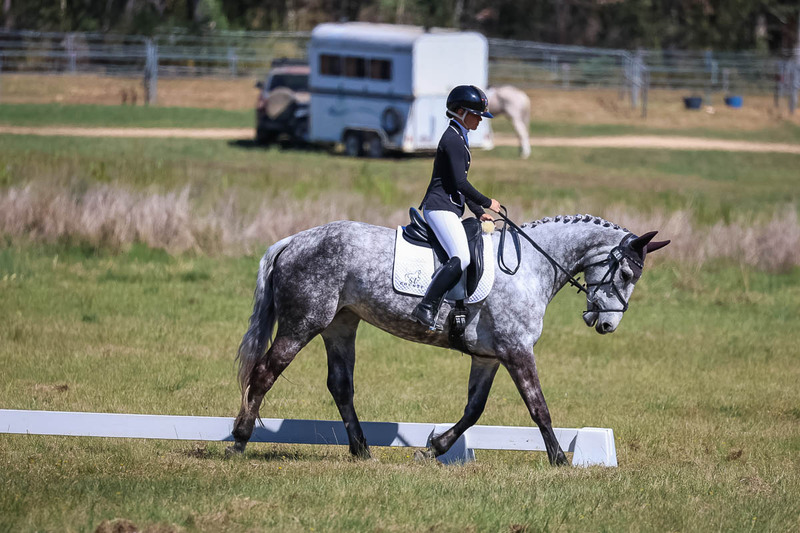 tEG 3DE 2025 Friday Dressage -1448.jpg