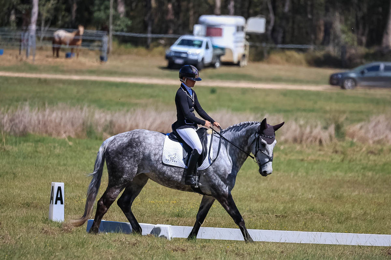 tEG 3DE 2025 Friday Dressage -1449.jpg
