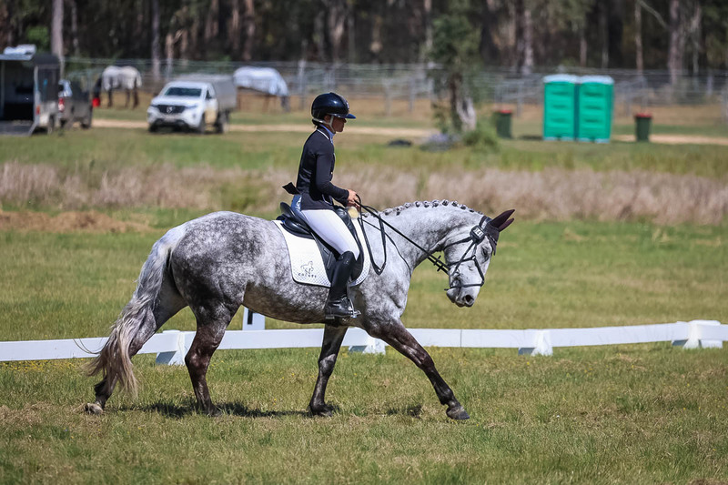 tEG 3DE 2025 Friday Dressage -1452.jpg
