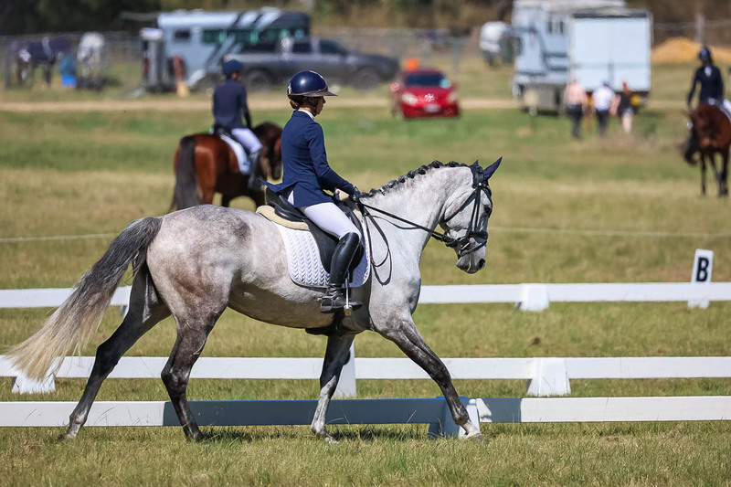 tEG 3DE 2025 Friday Dressage -1457.jpg