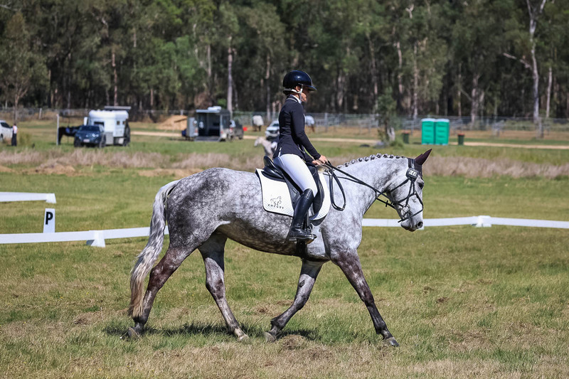 tEG 3DE 2025 Friday Dressage -1462.jpg