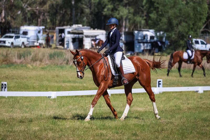 tEG 3DE 2025 Friday Dressage -1465.jpg