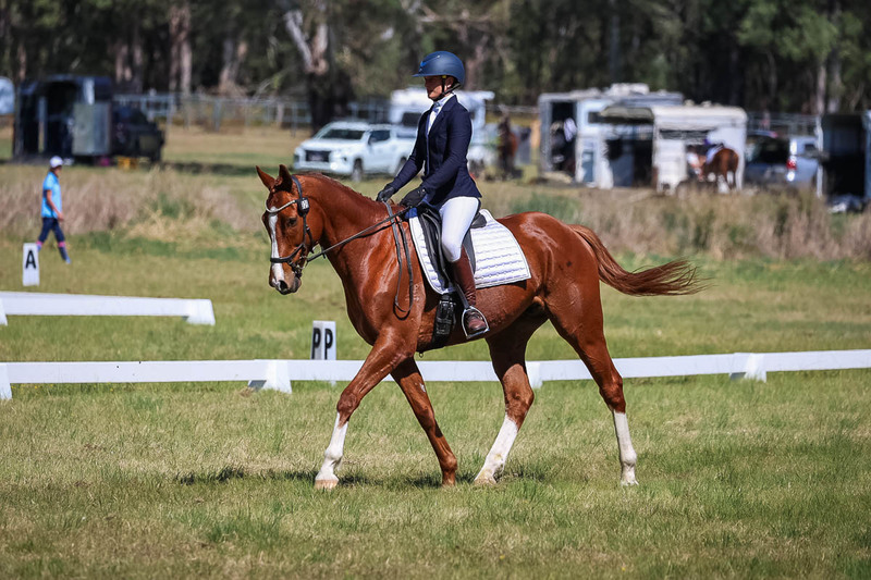 tEG 3DE 2025 Friday Dressage -1466.jpg