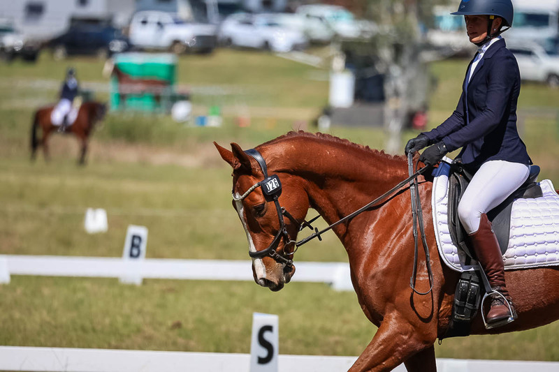 tEG 3DE 2025 Friday Dressage -1468.jpg