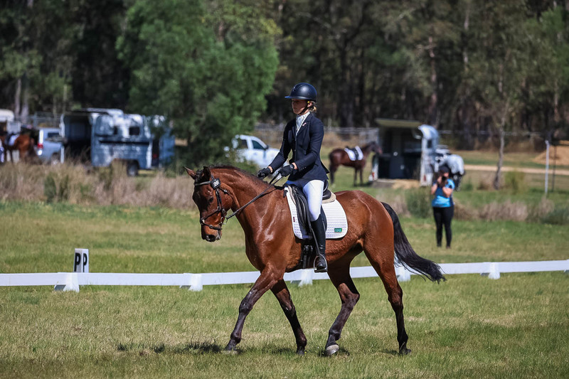 tEG 3DE 2025 Friday Dressage -1471.jpg