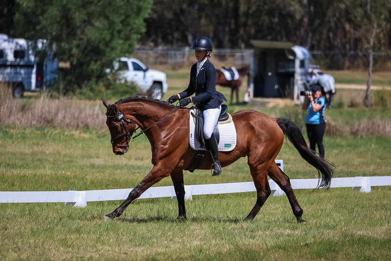 tEG 3DE 2025 Friday Dressage -1473.jpg