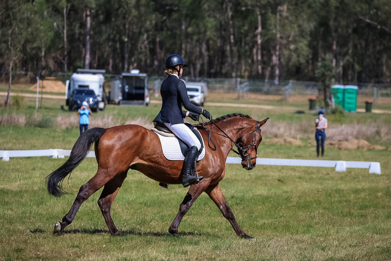 tEG 3DE 2025 Friday Dressage -1474.jpg