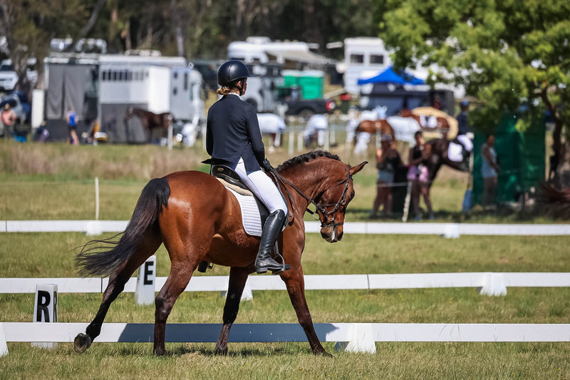 tEG 3DE 2025 Friday Dressage -1476.jpg