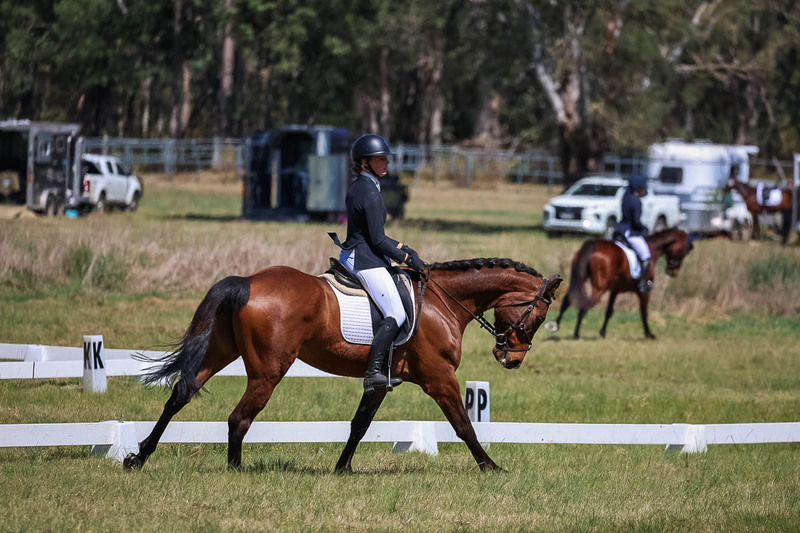 tEG 3DE 2025 Friday Dressage -1477.jpg