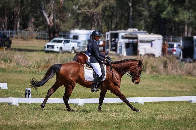 tEG 3DE 2025 Friday Dressage -1478.jpg