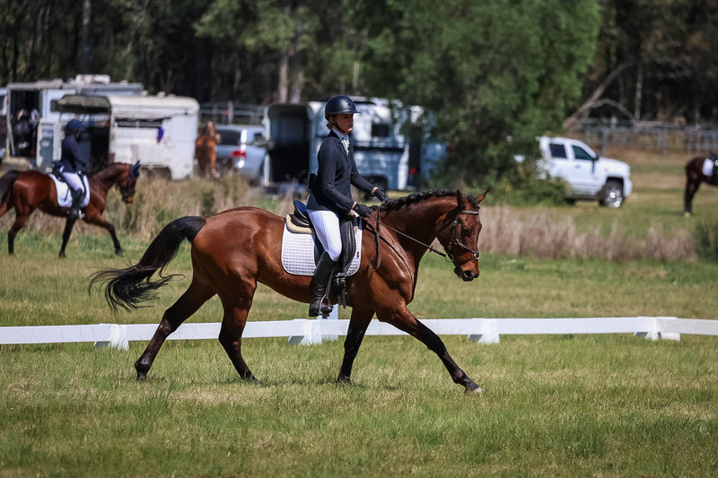 tEG 3DE 2025 Friday Dressage -1479.jpg