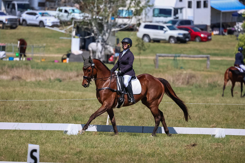 tEG 3DE 2025 Friday Dressage -1481.jpg