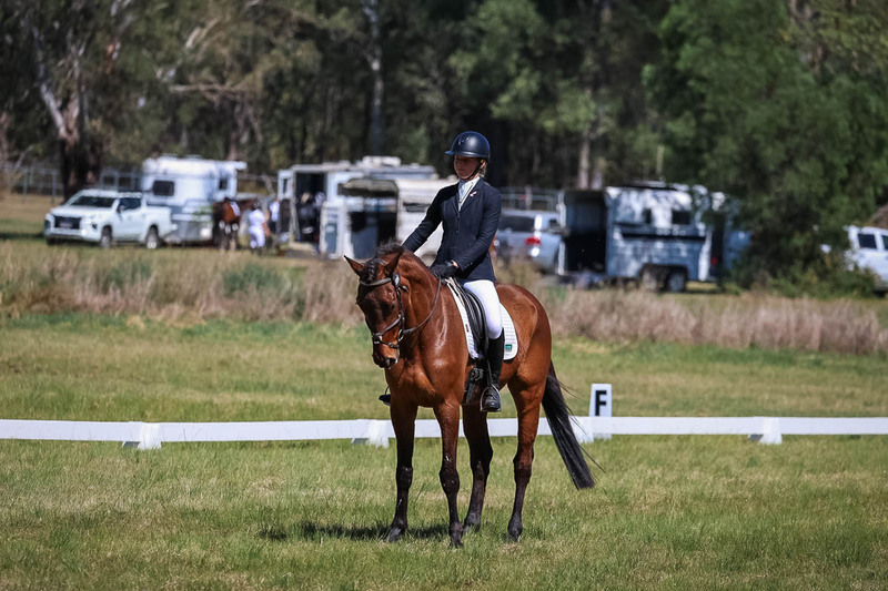 tEG 3DE 2025 Friday Dressage -1483.jpg