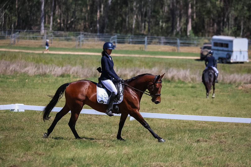 tEG 3DE 2025 Friday Dressage -1484.jpg
